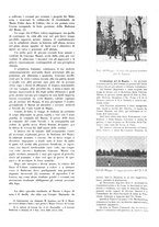 giornale/TO00194612/1933/unico/00000229