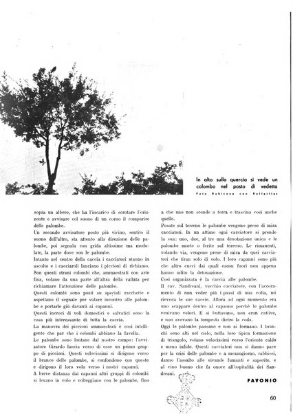 Il Rubicone rivista mensile di Romagna