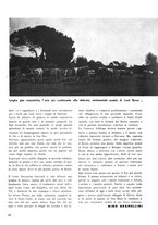 giornale/TO00194612/1934-1935/unico/00000119