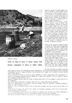 giornale/TO00194612/1934-1935/unico/00000232