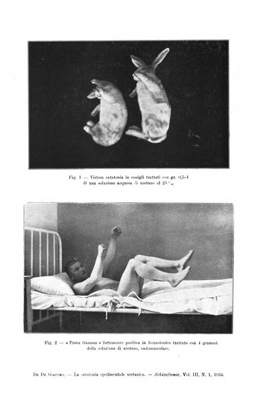 Schizofrenie bollettino trimestrale del primo Centro Provinciale di studio della demenza precoce