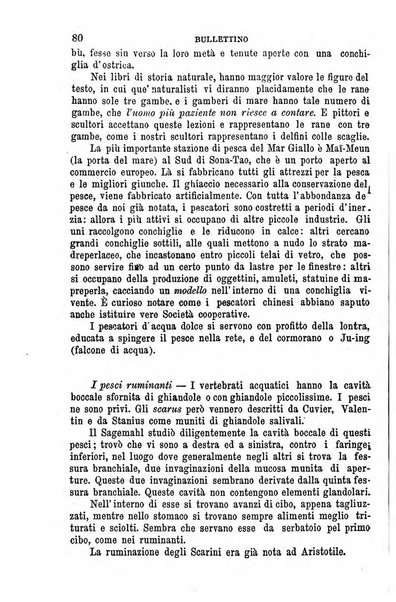 La scienza italiana periodico di filosofia, medicina e scienze naturali pubblicato dall'Accademia filosofico-medica di S. Tommaso d'Aquino