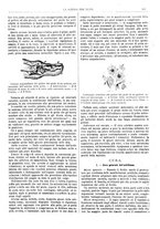 giornale/TO00194960/1879-1881/unico/00000117