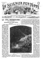 giornale/TO00194960/1879-1881/unico/00000151