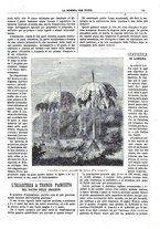 giornale/TO00194960/1879-1881/unico/00000195