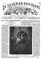 giornale/TO00194960/1879-1881/unico/00000279