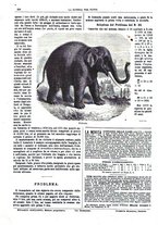 giornale/TO00194960/1879-1881/unico/00000302