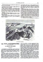 giornale/TO00194960/1879-1881/unico/00000315