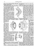 giornale/TO00194960/1879-1881/unico/00000330