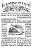 giornale/TO00194960/1879-1881/unico/00000335