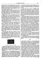 giornale/TO00194960/1879-1881/unico/00000341