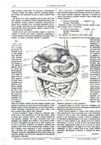 giornale/TO00194960/1879-1881/unico/00000366