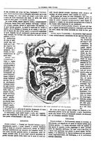 giornale/TO00194960/1879-1881/unico/00000411