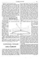 giornale/TO00194960/1882/unico/00000111