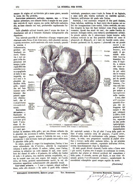 La scienza per tutti giornale popolare illustrato