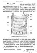 giornale/TO00194960/1882/unico/00000308