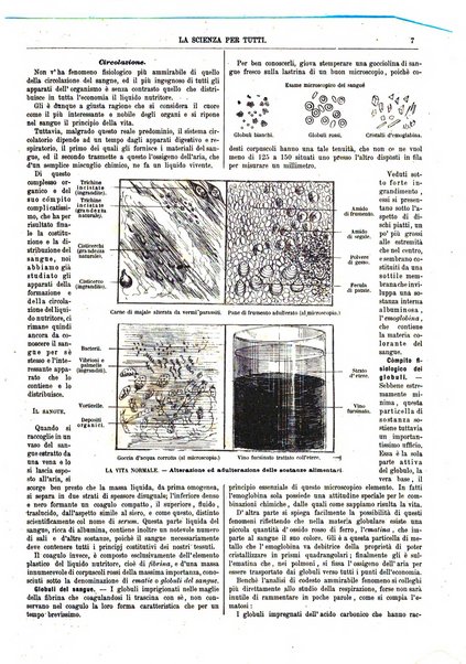 La scienza per tutti giornale popolare illustrato