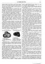 giornale/TO00194960/1883/unico/00000035