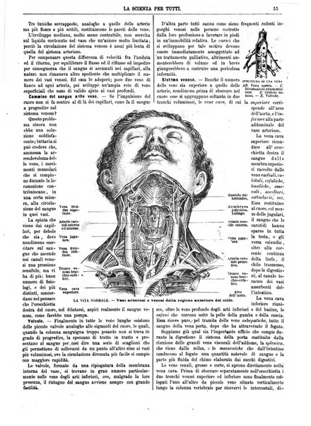 La scienza per tutti giornale popolare illustrato