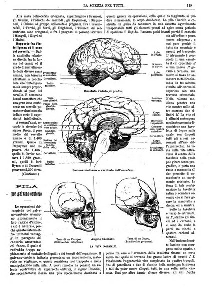 La scienza per tutti giornale popolare illustrato