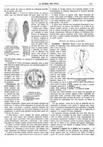 giornale/TO00194960/1883/unico/00000171