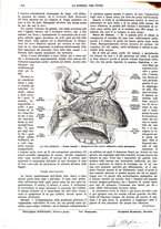 giornale/TO00194960/1883/unico/00000228