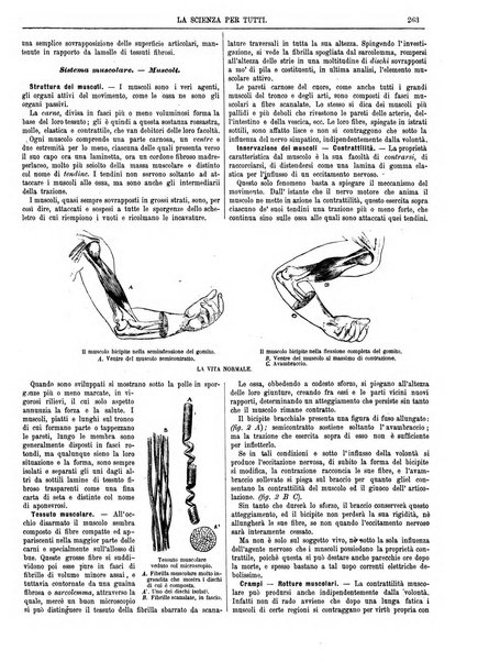 La scienza per tutti giornale popolare illustrato