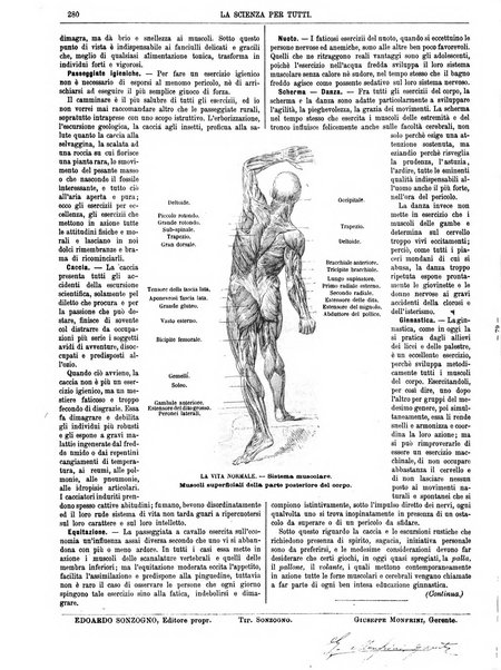 La scienza per tutti giornale popolare illustrato