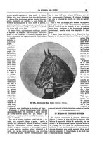 giornale/TO00194960/1887/unico/00000035