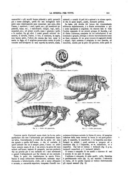 La scienza per tutti giornale popolare illustrato