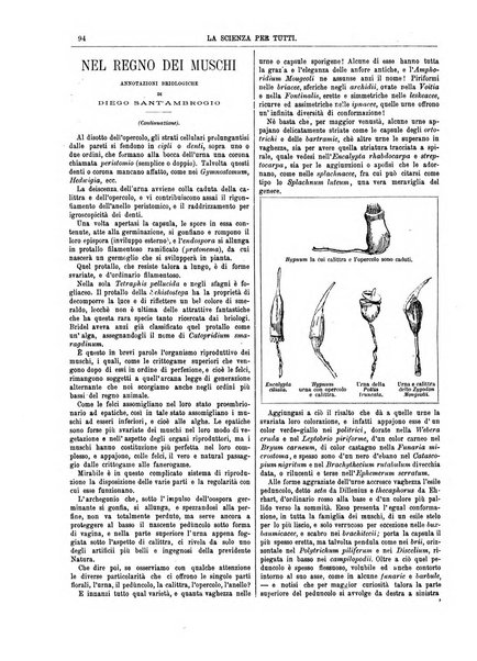 La scienza per tutti giornale popolare illustrato