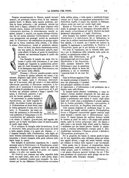 La scienza per tutti giornale popolare illustrato