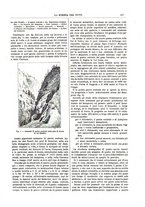 giornale/TO00194960/1889/unico/00000195