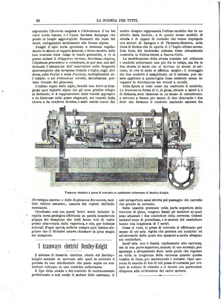 La scienza per tutti giornale popolare illustrato