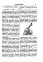 giornale/TO00194960/1890/unico/00000055