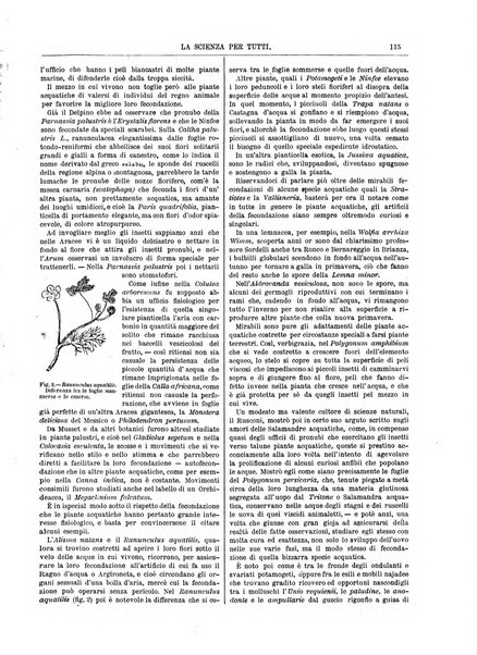 La scienza per tutti giornale popolare illustrato