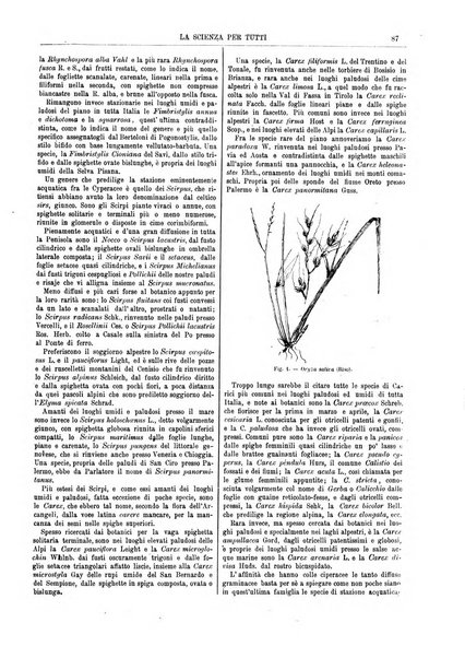 La scienza per tutti giornale popolare illustrato