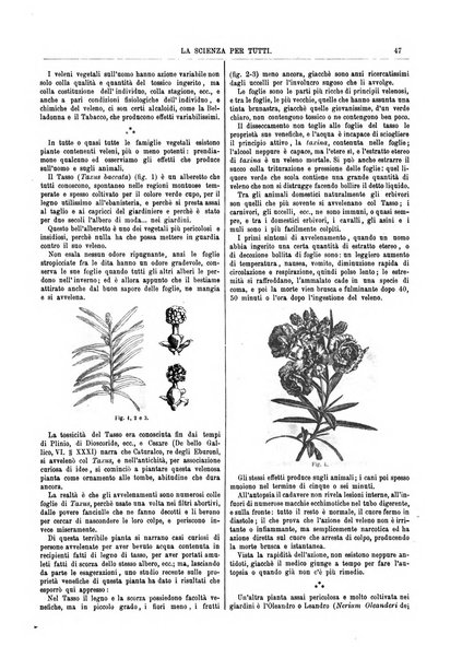 La scienza per tutti giornale popolare illustrato