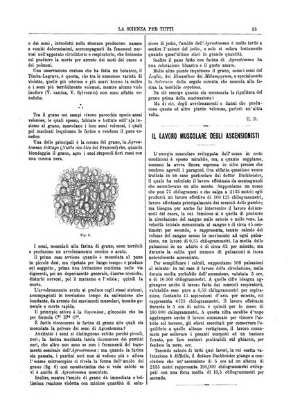 La scienza per tutti giornale popolare illustrato