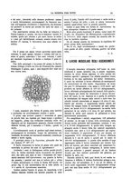 giornale/TO00194960/1892/unico/00000065