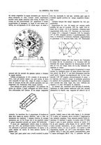 giornale/TO00194960/1892/unico/00000129