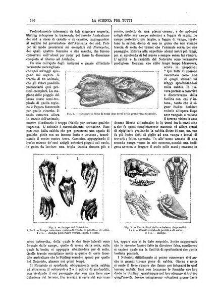 La scienza per tutti giornale popolare illustrato