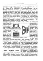 giornale/TO00194960/1893/unico/00000057