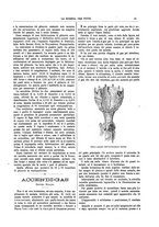 giornale/TO00194960/1893/unico/00000111