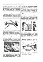 giornale/TO00194960/1894/unico/00000041