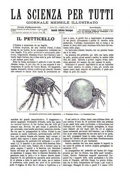 La scienza per tutti giornale popolare illustrato