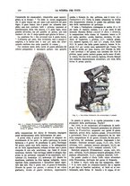 giornale/TO00194960/1895/unico/00000168