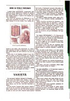 giornale/TO00194960/1895/unico/00000218