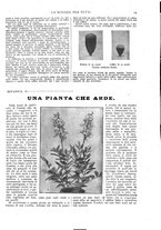 giornale/TO00194960/1909/unico/00000015