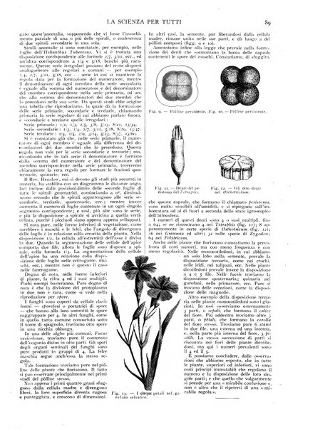 La scienza per tutti giornale popolare illustrato